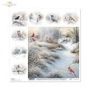 zimowa sceneria, mroźny krajobraz, widoczki, łąka*winter scenery, frosty landscape, views, meadow *Winterszenerie, frostige Landschaft, Ausblicke, Wiese*paisaje invernal, paisaje helado, vistas, pradera